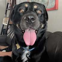 Thumbnail photo of TITAN #2