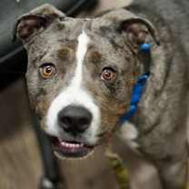 Thumbnail photo of Johnny #2