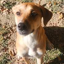 Thumbnail photo of Betty(Joi) #1