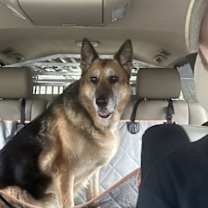 Thumbnail photo of Belle Ann 7266 #1