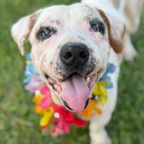 Thumbnail photo of Squishy #1