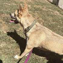 Thumbnail photo of Kai #3