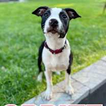 Thumbnail photo of Sprite #1