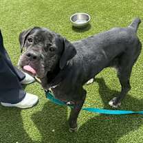 Thumbnail photo of Rita #3