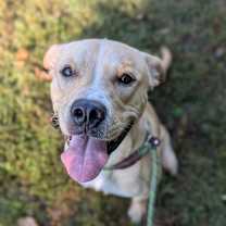 Thumbnail photo of Corbin #1