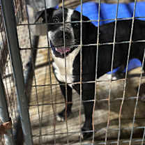 Thumbnail photo of Lafawnduh #2