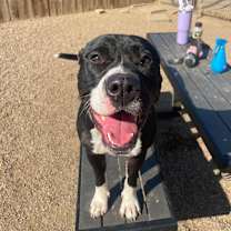 Thumbnail photo of Wednesday #3