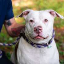 Thumbnail photo of Ava #2