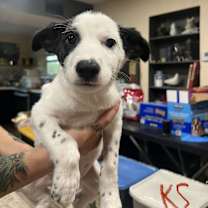 Thumbnail photo of Karen Smith #2