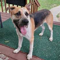 Thumbnail photo of Max #1