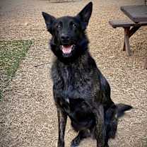 Thumbnail photo of Eddie #2