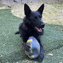 Thumbnail photo of Eddie #3