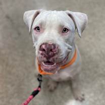 Thumbnail photo of Lilo #1