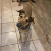 Thumbnail photo of Belle #1