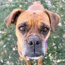 Thumbnail photo of Brenda #1