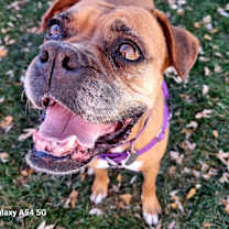 Thumbnail photo of Brenda #2