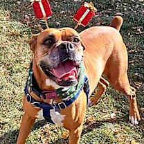 Thumbnail photo of Brenda #3