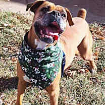 Thumbnail photo of Brenda #4