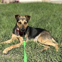 Thumbnail photo of Keira #4