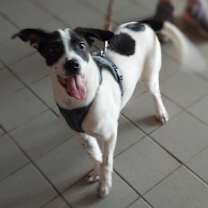 Thumbnail photo of Love #1