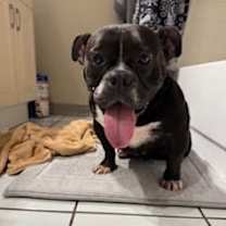 Thumbnail photo of Val #3