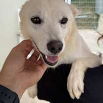 Thumbnail photo of Sky #4