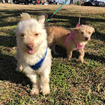 Thumbnail photo of Mork #3