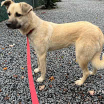 Thumbnail photo of Barkeisha #1