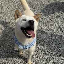 Thumbnail photo of Molly #2