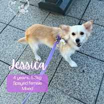 Thumbnail photo of Jessica - VANCOUVER!!! #1