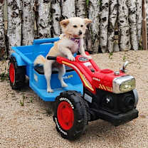 Thumbnail photo of Jessica #4