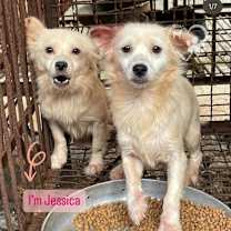 Thumbnail photo of Jessica #2