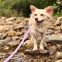 Thumbnail photo of Jessica #3