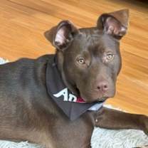 Thumbnail photo of Simon #1