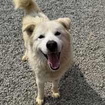 Thumbnail photo of Cloud #2