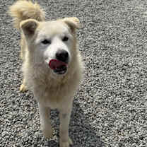 Thumbnail photo of Cloud #4