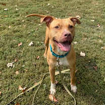 Thumbnail photo of Luna #1