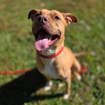 Thumbnail photo of Luna #3