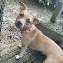 Thumbnail photo of Leena - LOVELY girl from a Hard Past! #3