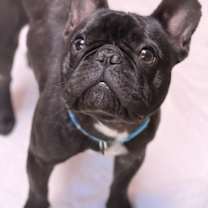 Thumbnail photo of Arlo #2