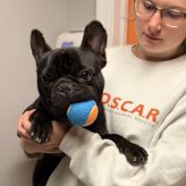 Thumbnail photo of Arlo #3