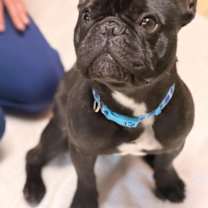 Thumbnail photo of Arlo #4