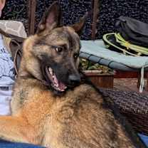 Thumbnail photo of KAYO #1