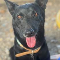 Thumbnail photo of Keke #2