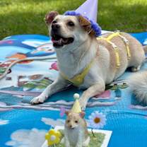 Thumbnail photo of Victor #4