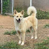 Thumbnail photo of Gowoon #3