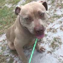 Thumbnail photo of Adalyn URGENT HELP ‼️538 days #1