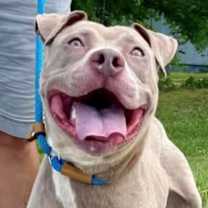 Thumbnail photo of Adalyn URGENT HELP ‼️538 days #2