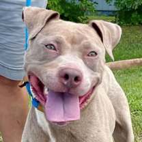 Thumbnail photo of Adalyn URGENT HELP ‼️538 days #3