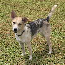 Thumbnail photo of Miss Mabel #1